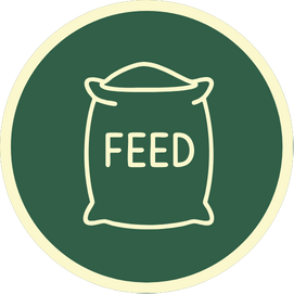 Ayam Kampung Haytung